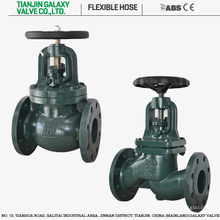 Cast Iron Globe Valve